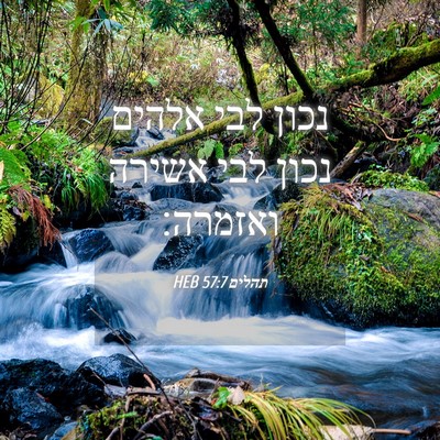 Picture 04 - תהלים 57:7 HEB - נכון לבי אלהים נכון לבי - Bible Verse Picture