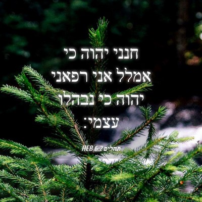 Picture 04 - תהלים 6:2 HEB - חנני יהוה כי אמלל אני רפאני - Bible Verse Picture