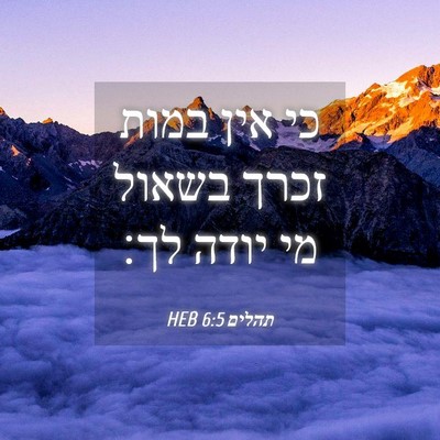 Picture 04 - תהלים 6:5 HEB - כי אין במות זכרך בשאול מי - Bible Verse Picture