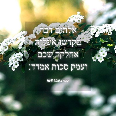 Picture 04 - תהלים 60:6 HEB - אלהים דבר בקדשו אעלזה - Bible Verse Picture