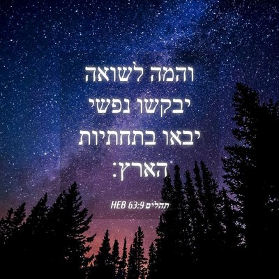 Picture 04 - תהלים 63:9 HEB - והמה לשואה יבקשו נפשי יבאו - Bible Verse Picture
