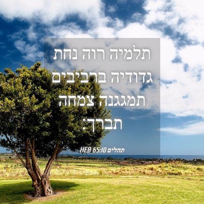 Picture 04 - תהלים 65:10 HEB - תלמיה רוה נחת גדודיה - Bible Verse Picture