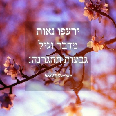 Picture 04 - תהלים 65:12 HEB - ירעפו נאות מדבר וגיל גבעות - Bible Verse Picture