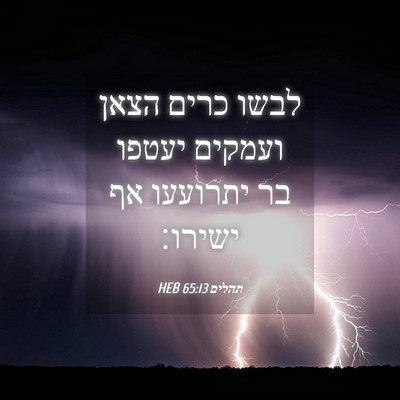 Picture 04 - תהלים 65:13 HEB - לבשו כרים הצאן ועמקים - Bible Verse Picture