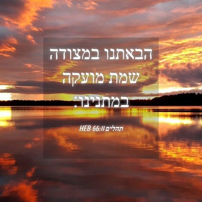 Picture 04 - תהלים 66:11 HEB - הבאתנו במצודה שמת מועקה - Bible Verse Picture