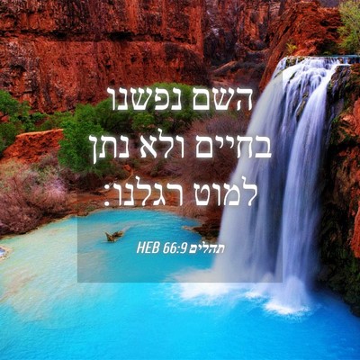 Picture 04 - תהלים 66:9 HEB - השם נפשנו בחיים ולא נתן - Bible Verse Picture