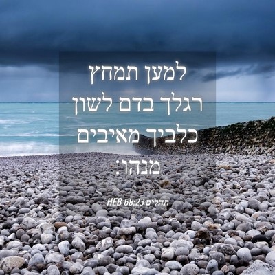 Picture 04 - תהלים 68:23 HEB - למען תמחץ רגלך בדם לשון - Bible Verse Picture