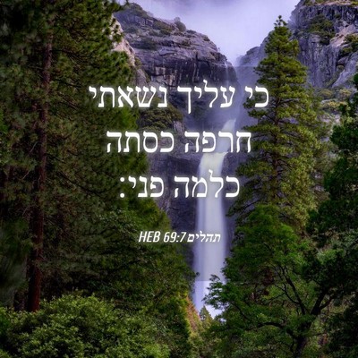 Picture 04 - תהלים 69:7 HEB - כי עליך נשאתי חרפה כסתה - Bible Verse Picture