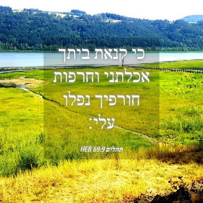 Picture 04 - תהלים 69:9 HEB - כי קנאת ביתך אכלתני וחרפות - Bible Verse Picture