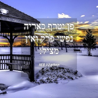 Picture 04 - תהלים 7:2 HEB - פן יטרף כאריה נפשי פרק ואין - Bible Verse Picture
