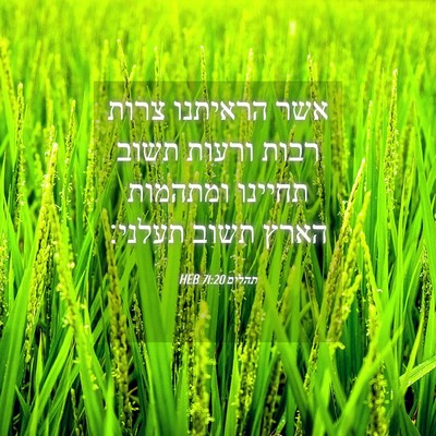 Picture 04 - תהלים 71:20 HEB - אשר הראיתנו צרות רבות - Bible Verse Picture