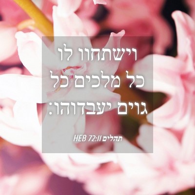 Picture 04 - תהלים 72:11 HEB - וישתחוו לו כל מלכים כל גוים - Bible Verse Picture