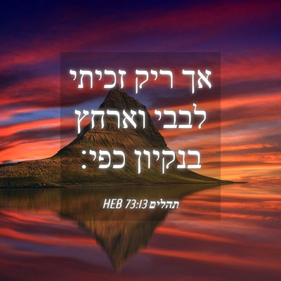 Picture 04 - תהלים 73:13 HEB - אך ריק זכיתי לבבי וארחץ - Bible Verse Picture