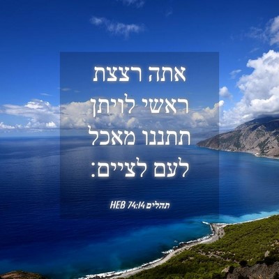Picture 04 - תהלים 74:14 HEB - אתה רצצת ראשי לויתן תתננו - Bible Verse Picture
