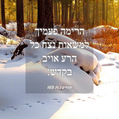 Picture 04 - תהלים 74:3 HEB - הרימה פעמיך למשאות נצח כל - Bible Verse Picture