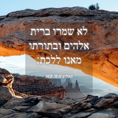 Picture 04 - תהלים 78:10 HEB - לא שמרו ברית אלהים ובתורתו - Bible Verse Picture