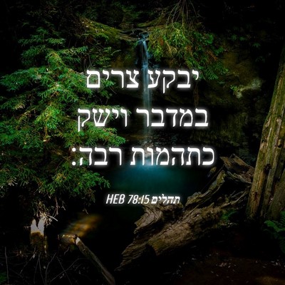 Picture 04 - תהלים 78:15 HEB - יבקע צרים במדבר וישק - Bible Verse Picture