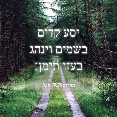Picture 04 - תהלים 78:26 HEB - יסע קדים בשמים וינהג בעזו - Bible Verse Picture