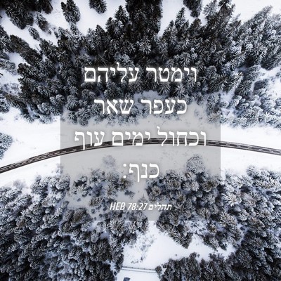 Picture 04 - תהלים 78:27 HEB - וימטר עליהם כעפר שאר וכחול - Bible Verse Picture