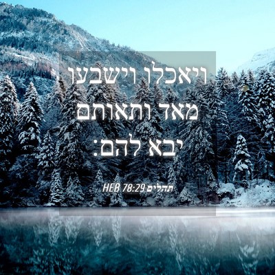 Picture 04 - תהלים 78:29 HEB - ויאכלו וישבעו מאד ותאותם - Bible Verse Picture