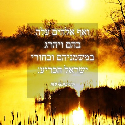 Picture 04 - תהלים 78:31 HEB - ואף אלהים עלה בהם ויהרג - Bible Verse Picture