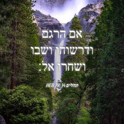 Picture 04 - תהלים 78:34 HEB - אם הרגם ודרשוהו ושבו ושחרו - Bible Verse Picture