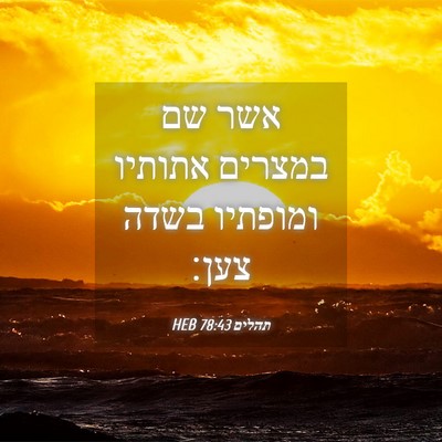 Picture 04 - תהלים 78:43 HEB - אשר שם במצרים אתותיו - Bible Verse Picture