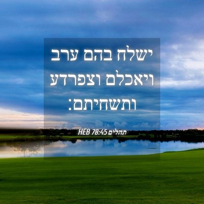 Picture 04 - תהלים 78:45 HEB - ישלח בהם ערב ויאכלם וצפרדע - Bible Verse Picture