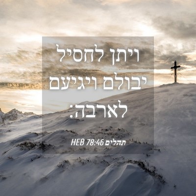 Picture 04 - תהלים 78:46 HEB - ויתן לחסיל יבולם ויגיעם - Bible Verse Picture