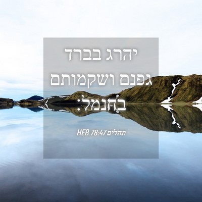 Picture 04 - תהלים 78:47 HEB - יהרג בברד גפנם ושקמותם - Bible Verse Picture