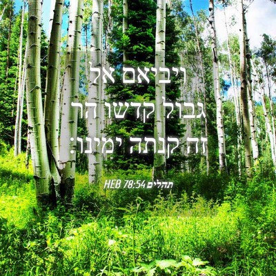 Picture 04 - תהלים 78:54 HEB - ויביאם אל גבול קדשו הר זה - Bible Verse Picture