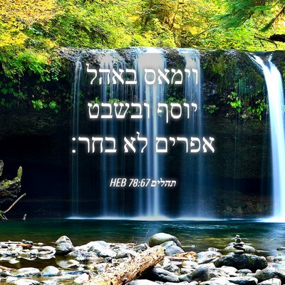 Picture 04 - תהלים 78:67 HEB - וימאס באהל יוסף ובשבט - Bible Verse Picture