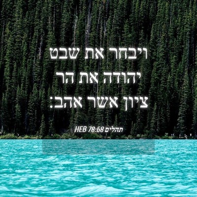 Picture 04 - תהלים 78:68 HEB - ויבחר את שבט יהודה את הר - Bible Verse Picture