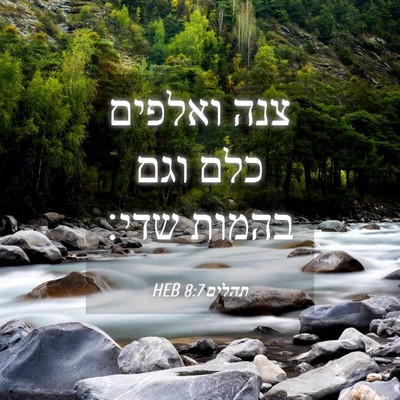 Picture 04 - תהלים 8:7 HEB - צנה ואלפים כלם וגם בהמות - Bible Verse Picture