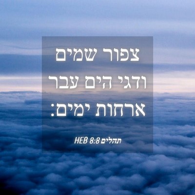 Picture 04 - תהלים 8:8 HEB - צפור שמים ודגי הים עבר - Bible Verse Picture
