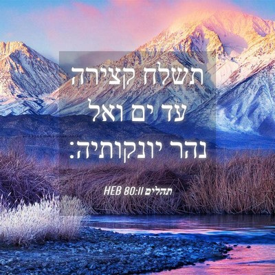 Picture 04 - תהלים 80:11 HEB - תשלח קצירה עד ים ואל נהר - Bible Verse Picture