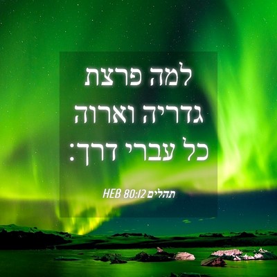 Picture 04 - תהלים 80:12 HEB - למה פרצת גדריה וארוה כל - Bible Verse Picture