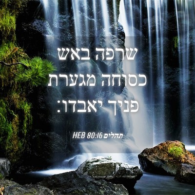 Picture 04 - תהלים 80:16 HEB - שרפה באש כסוחה מגערת פניך - Bible Verse Picture