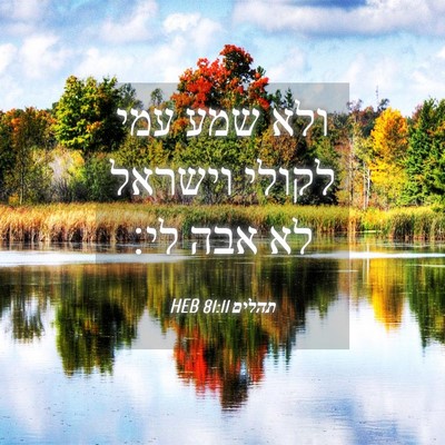 Picture 04 - תהלים 81:11 HEB - ולא שמע עמי לקולי וישראל לא - Bible Verse Picture