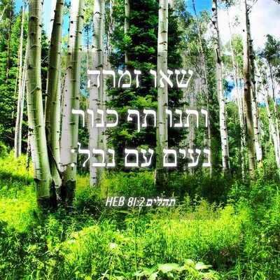 Picture 04 - תהלים 81:2 HEB - שאו זמרה ותנו תף כנור נעים - Bible Verse Picture