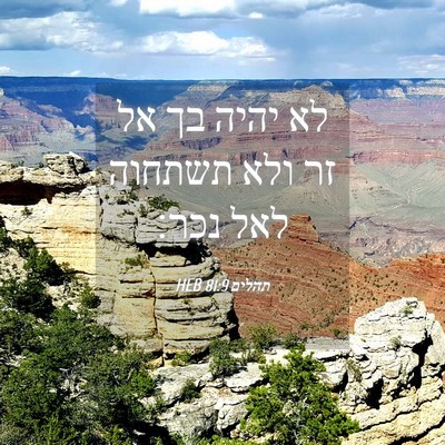 Picture 04 - תהלים 81:9 HEB - לא יהיה בך אל זר ולא תשתחוה - Bible Verse Picture