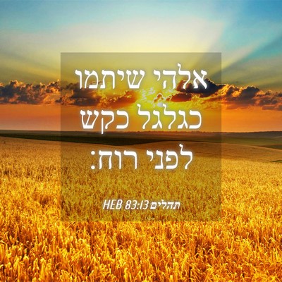 Picture 04 - תהלים 83:13 HEB - אלהי שיתמו כגלגל כקש לפני - Bible Verse Picture