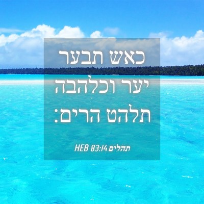 Picture 04 - תהלים 83:14 HEB - כאש תבער יער וכלהבה תלהט - Bible Verse Picture