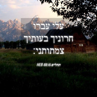 Picture 04 - תהלים 88:16 HEB - עלי עברו חרוניך בעותיך - Bible Verse Picture