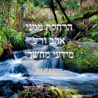 Picture 04 - תהלים 88:18 HEB - הרחקת ממני אהב ורע מידעי - Bible Verse Picture