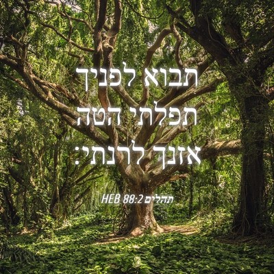 Picture 04 - תהלים 88:2 HEB - תבוא לפניך תפלתי הטה אזנך - Bible Verse Picture