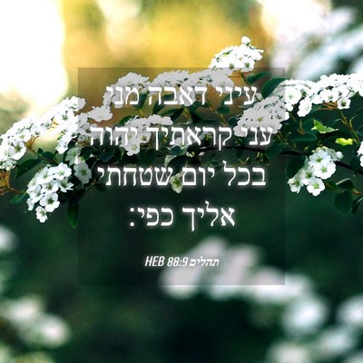 Picture 04 - תהלים 88:9 HEB - עיני דאבה מני עני קראתיך - Bible Verse Picture