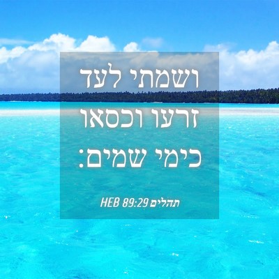 Picture 04 - תהלים 89:29 HEB - ושמתי לעד זרעו וכסאו כימי - Bible Verse Picture