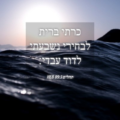 Picture 04 - תהלים 89:3 HEB - כרתי ברית לבחירי נשבעתי - Bible Verse Picture