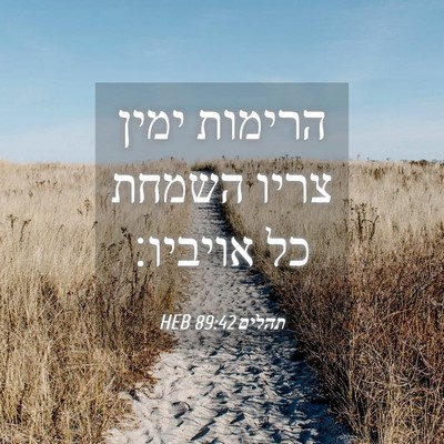 Picture 04 - תהלים 89:42 HEB - הרימות ימין צריו השמחת כל - Bible Verse Picture
